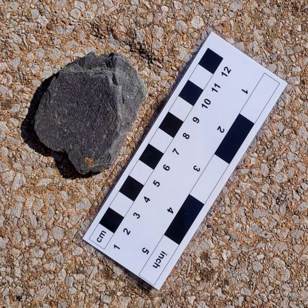 Photo Field Scale Card showing cm and inch measurments