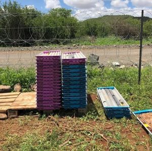 Stacking design of UCP core trays exhibited in the field on a mineral exploration drilling project.