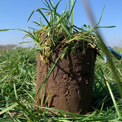Close up of freshly extracted soil sample for a ground health ecology survey, by use of our range of Soil Sampling augers.